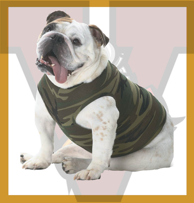 Viking Dog Sweater